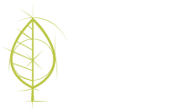 logo integrus